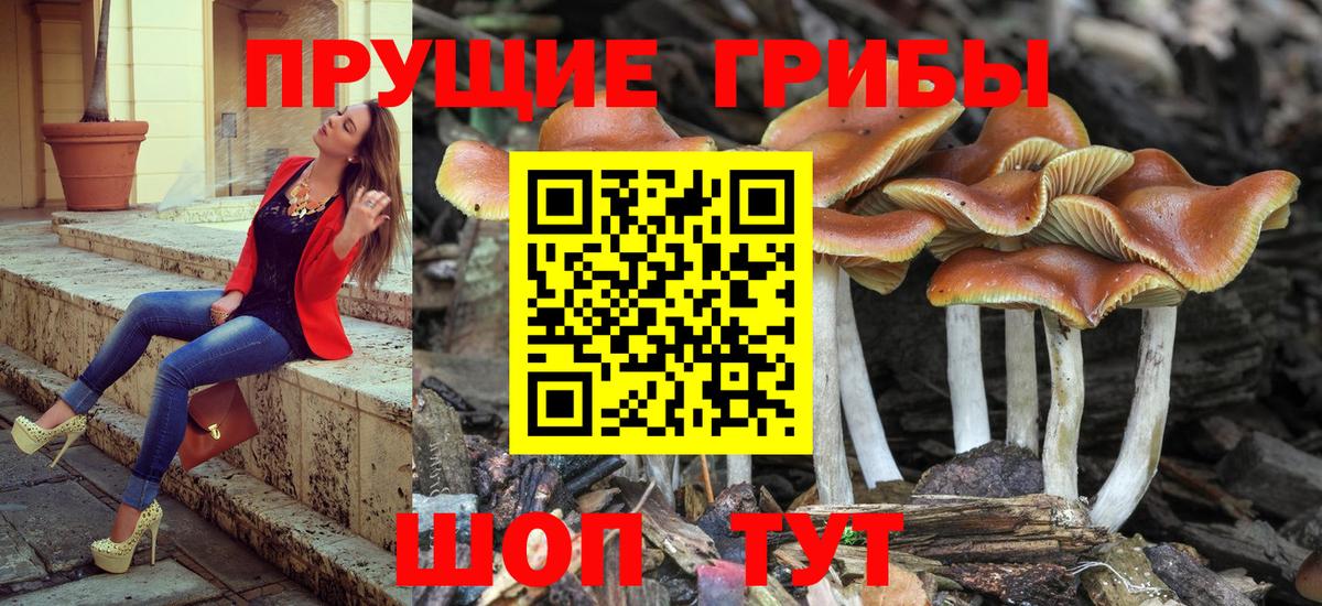 Кыштым  Псилоцибиновые грибы Magic Shrooms  Вход с VPN 