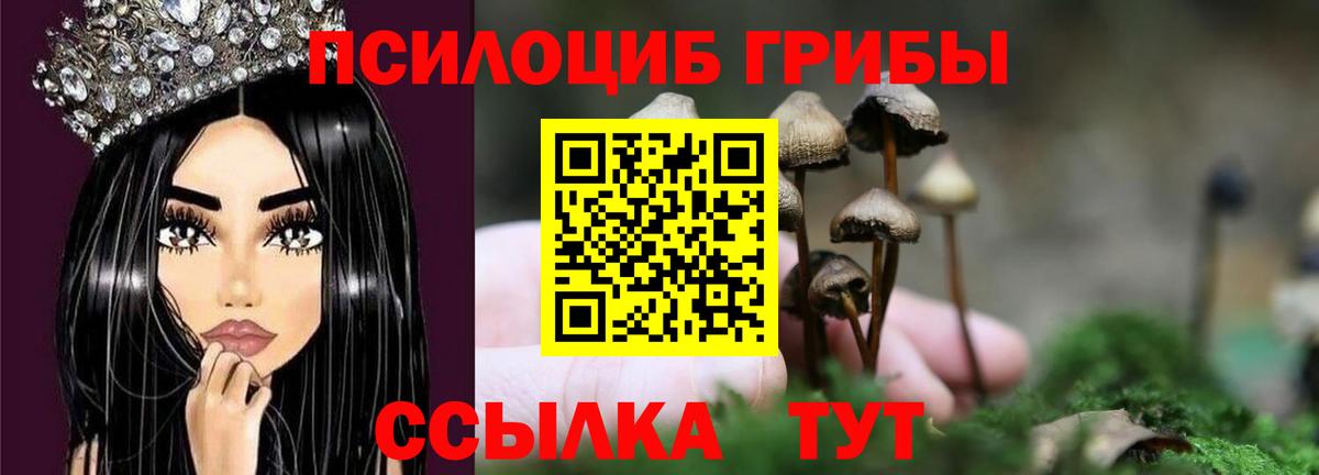 Галлюциногенные грибы ЛСД Кыштым